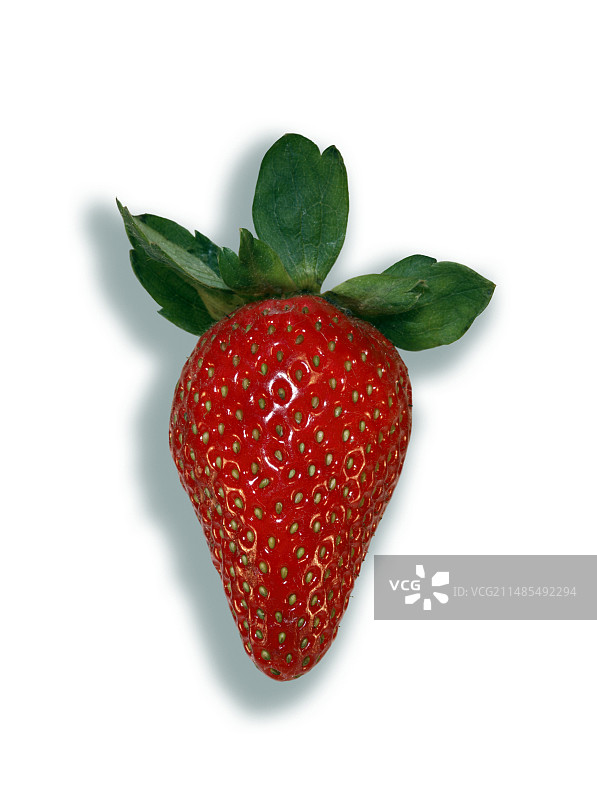 草莓图片素材