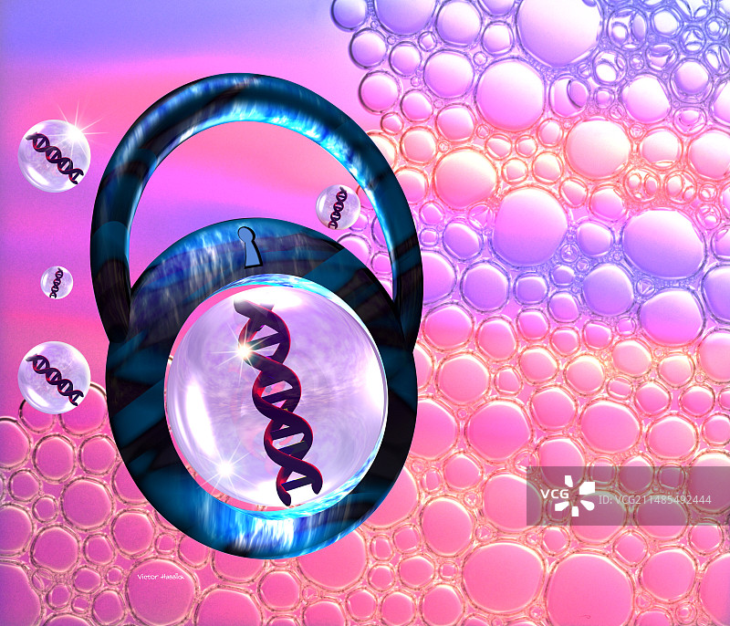 遗传安全图片素材