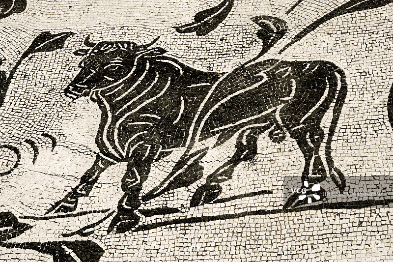 奥斯提亚·安提卡罗马马赛克图片素材