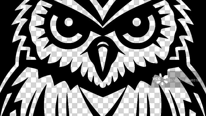 猫头鹰——黑白相间图片素材