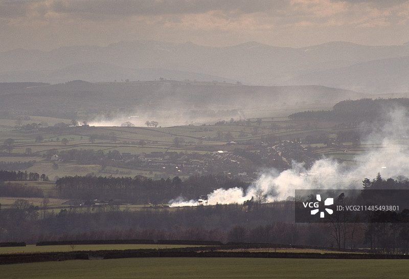 口蹄疫图片素材