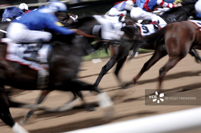 赛马图片素材