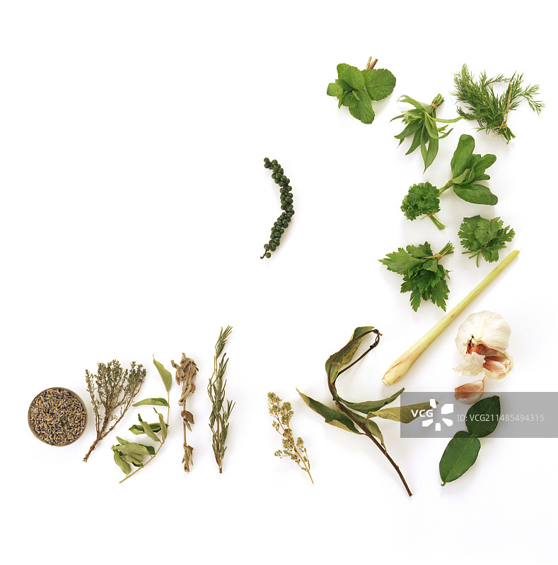 各种草药图片素材