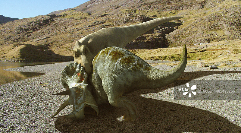 霸王龙图片素材