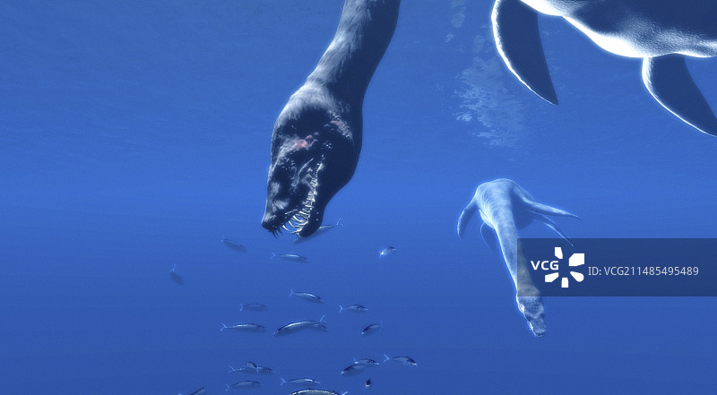 蛇颈龙图片素材