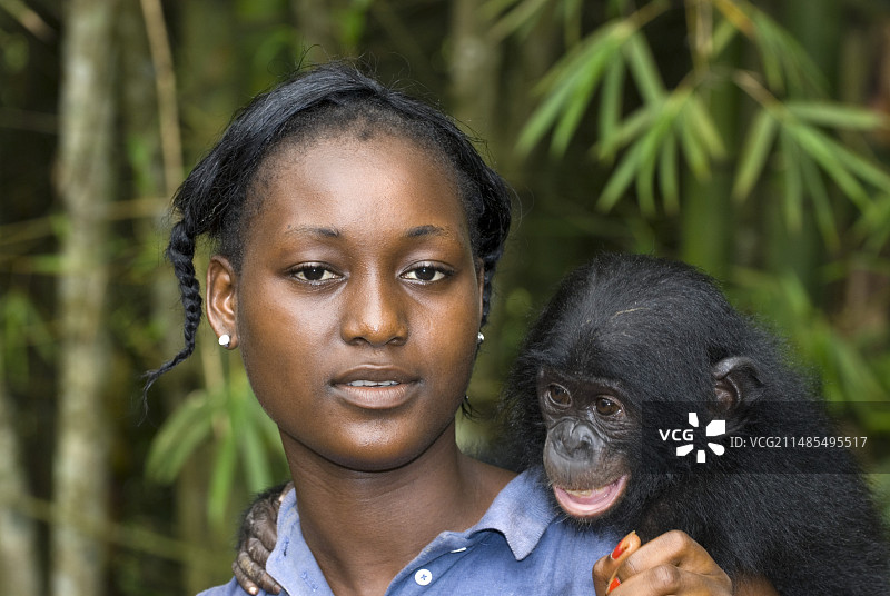 倭黑猩猩保护图片素材
