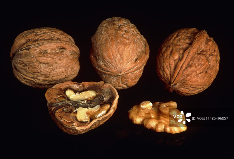 核桃图片素材