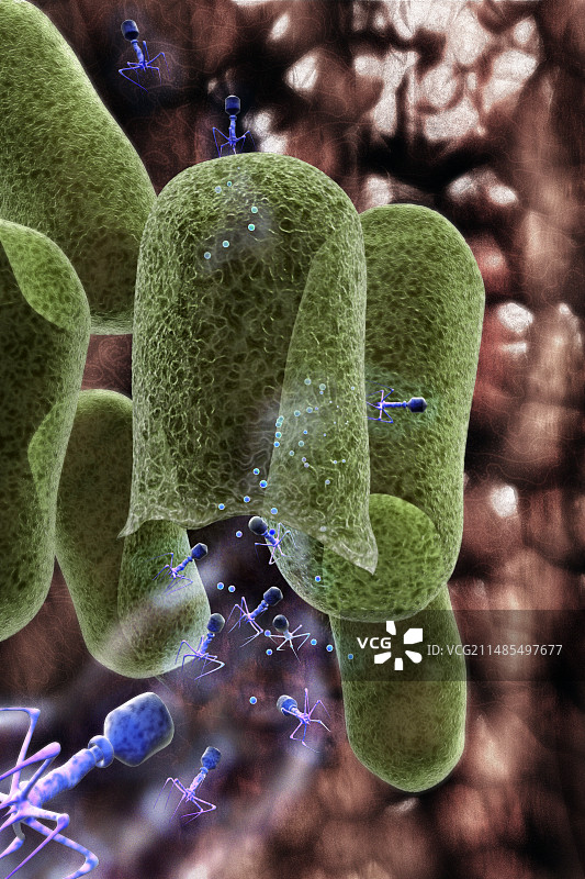 噬菌体病毒粒子图片素材