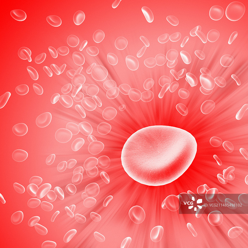 红细胞图片素材
