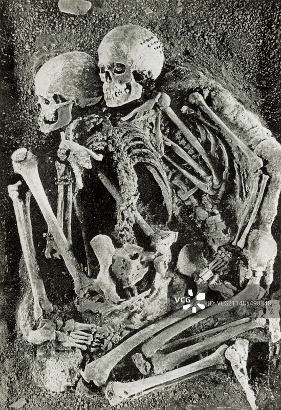 格里马尔迪骨骼图片素材