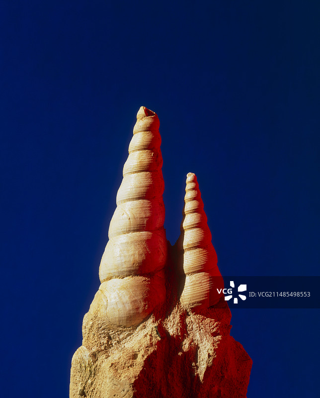 锥螺化石图片素材