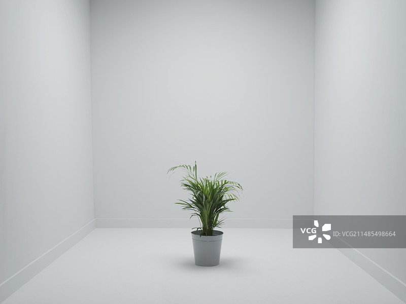 办公室环境概念图图片素材