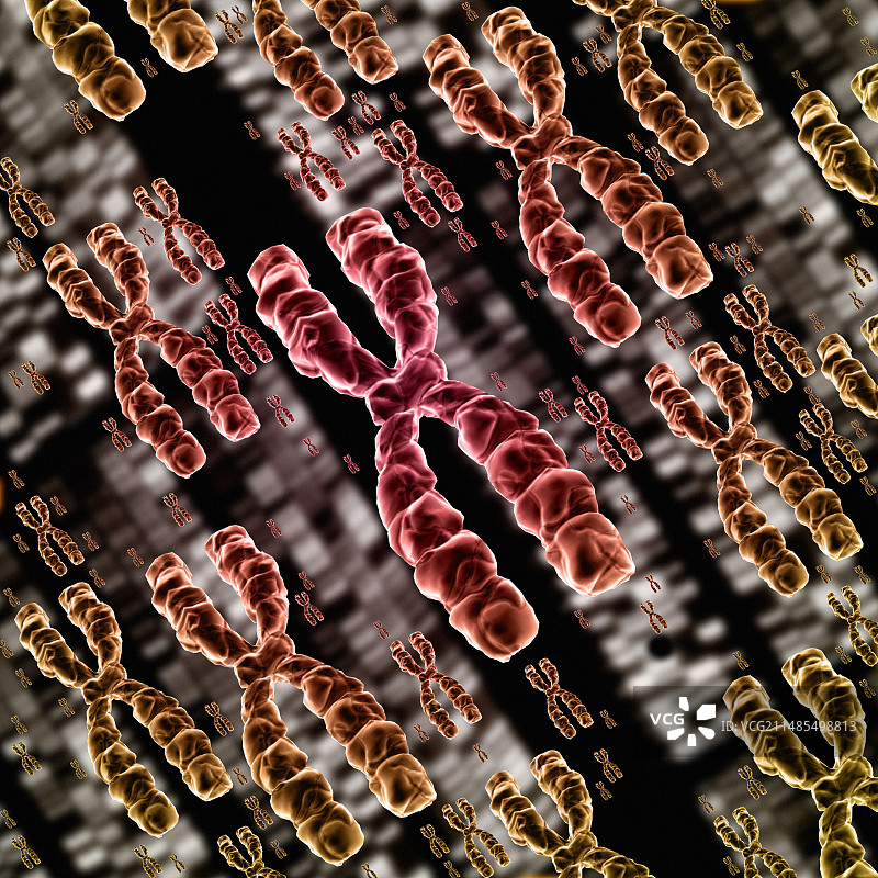 染色体图片素材