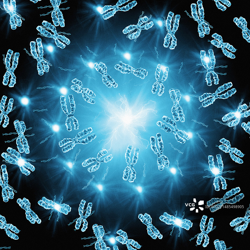 染色体图片素材