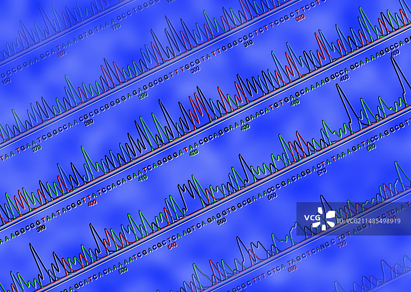基因序列。图片素材