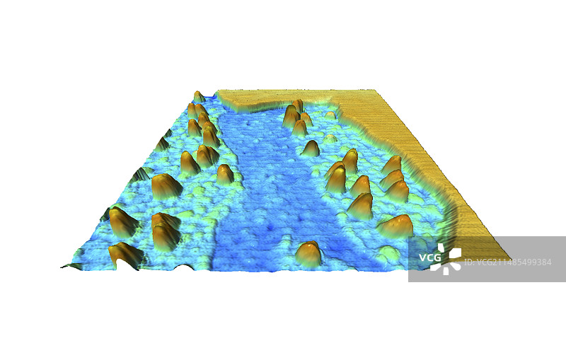 血浆膜蛋白原子力显微镜图片素材