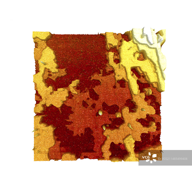 血浆膜蛋白原子力显微镜图片素材