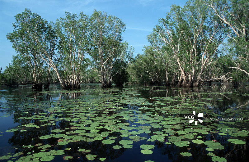 被洪水淹没的洪泛区图片素材