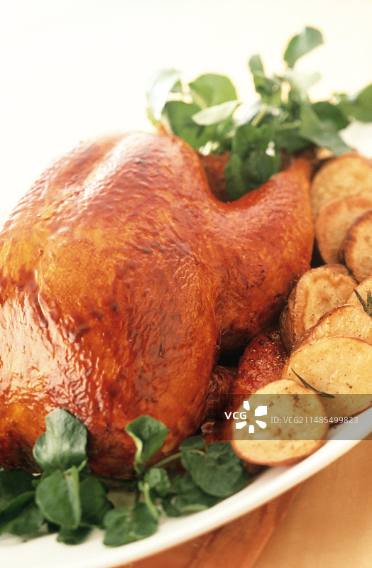 烹饪好的火鸡图片素材