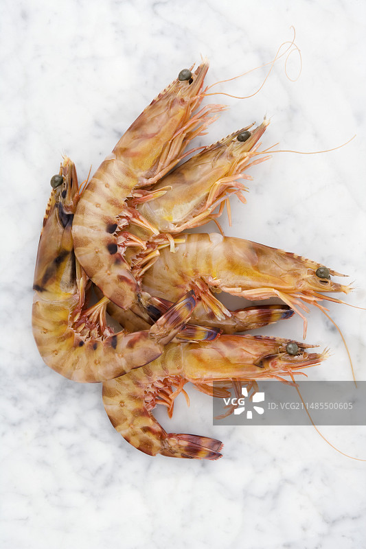 新鲜的虎虾图片素材