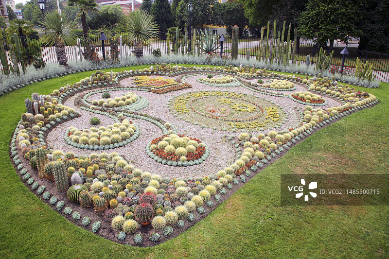 仙人掌花园图片素材
