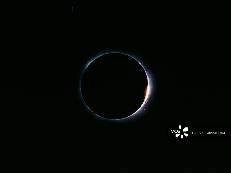 日全食期间的贝利珠图片素材