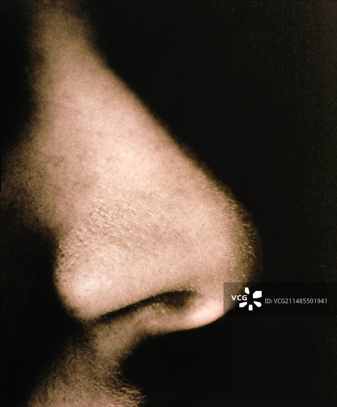 人鼻子侧面特写图片素材