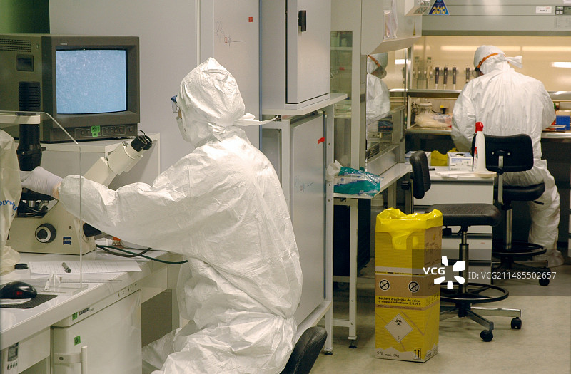 禽流感研究图片素材