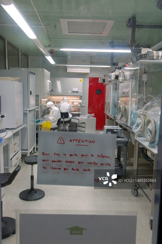 禽流感研究图片素材