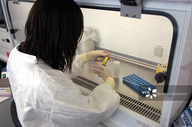 病毒研究图片素材