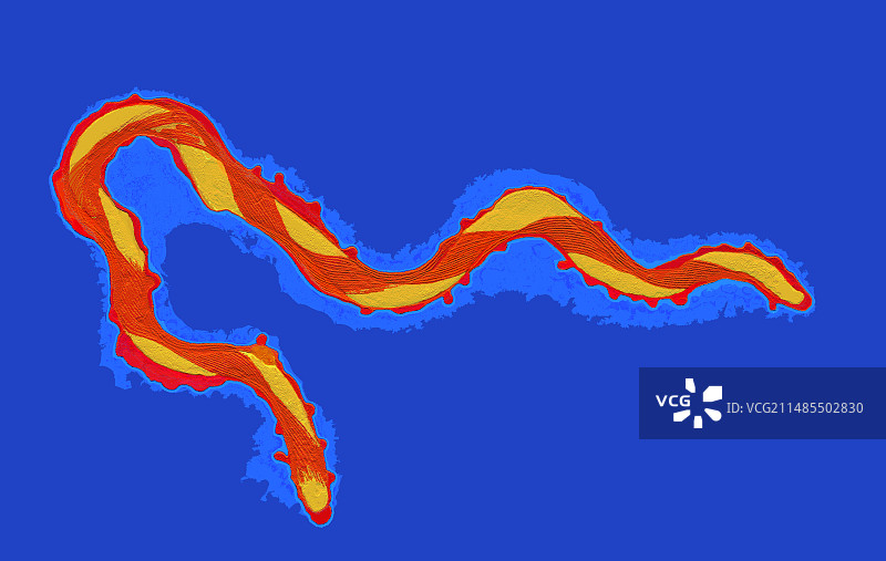 螺旋体细菌，梅毒螺旋体图片素材