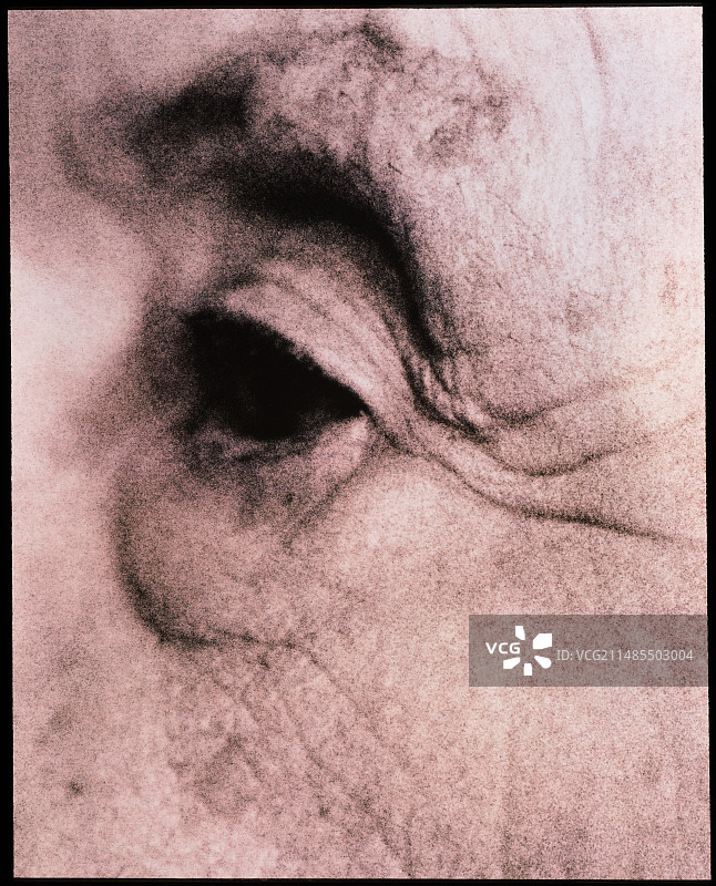 老年妇女眼睛的特写（侧面）图片素材