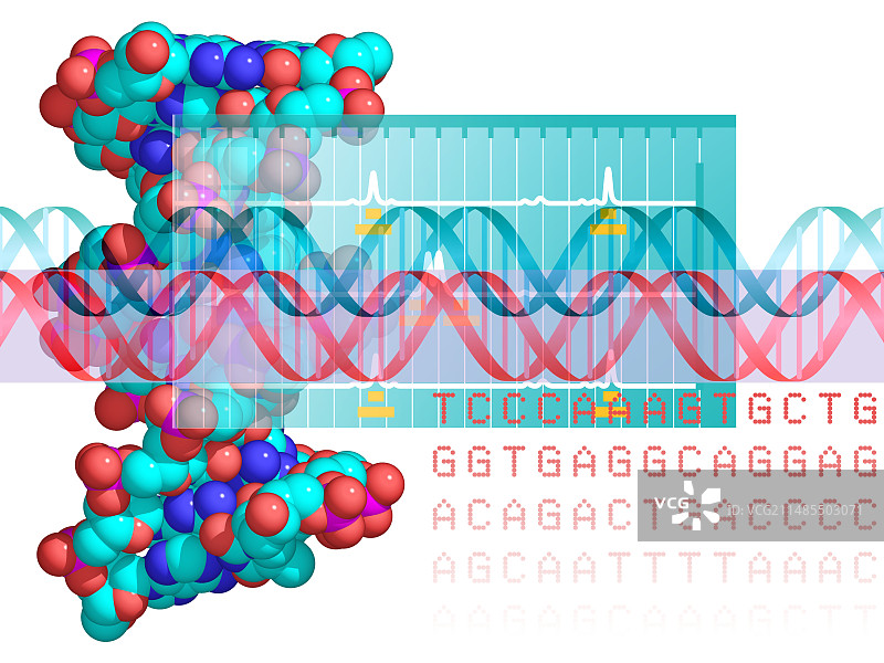 DNA分析图片素材