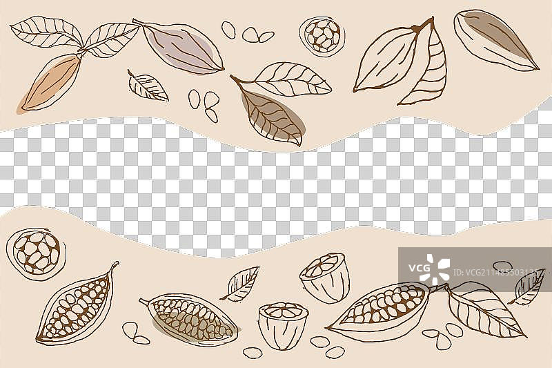 可可豆背景（banner和包装用）图片素材