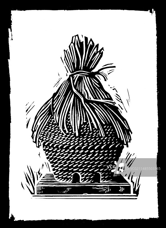 蜂箱木刻图片素材