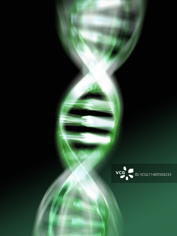 DNA分子图片素材
