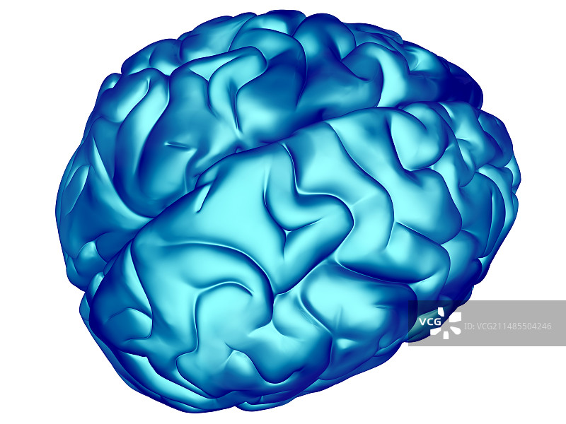 大脑图片素材