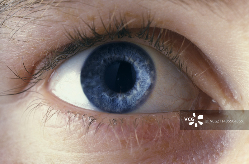 人类的眼睛图片素材
