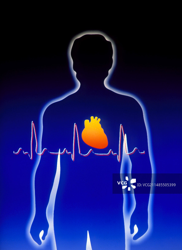 人体、心脏和心电图图片素材