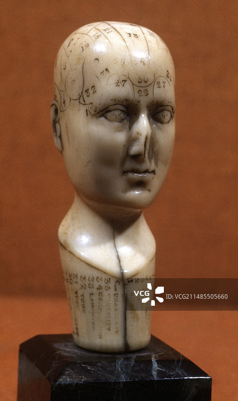 19世纪颅相学头部图片素材