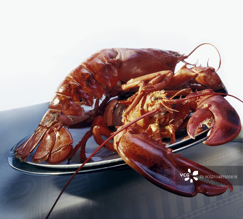 龙虾图片素材