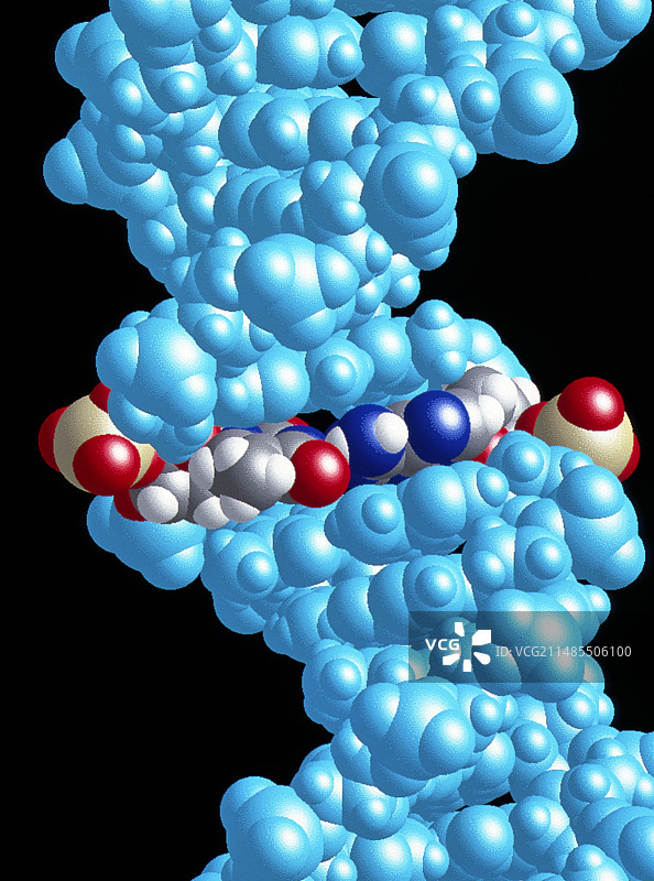 突出显示A-T对的DNA分子模型图片素材