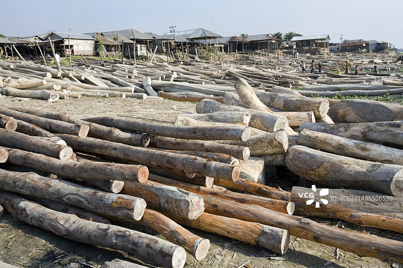 木材堆场图片素材