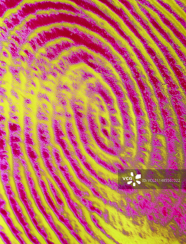 人类指纹细节彩色扫描电子显微镜图像图片素材