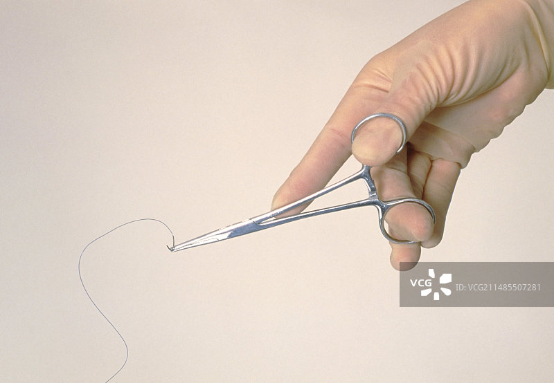 戴手套的手拿着缝合线和持针钳图片素材