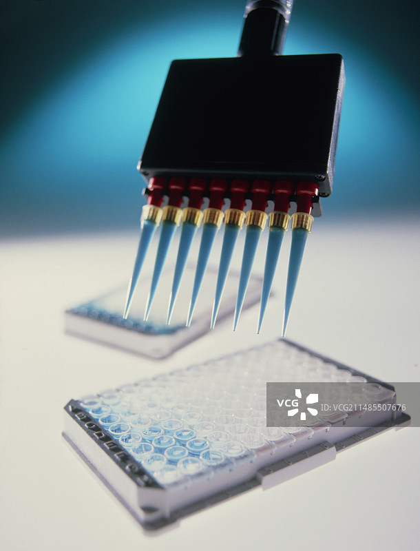 疾病抗体ELISA血液检测图片素材