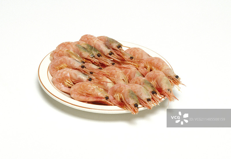 一盘对虾图片素材