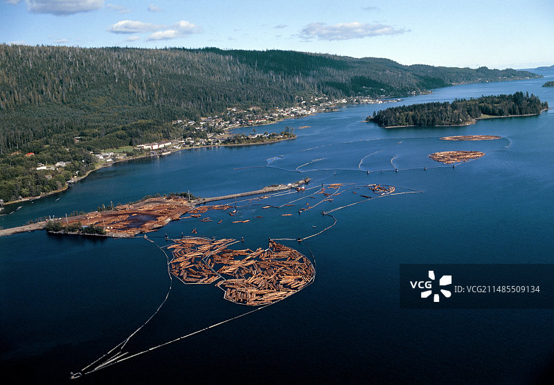 航拍水上的采伐木材图片素材