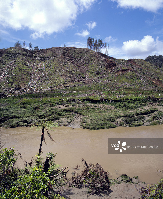 沉积河流旁的清理过的森林图片素材