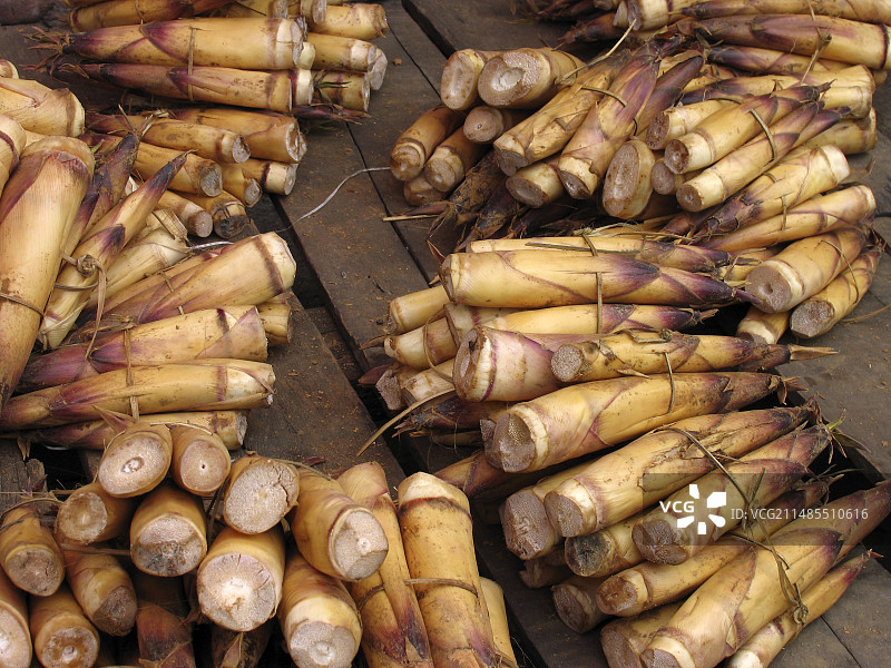 新鲜竹笋图片素材